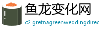 鱼龙变化网